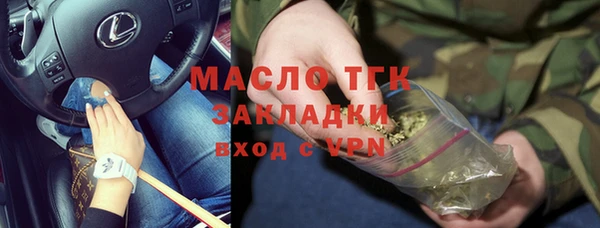 гидра Богородск