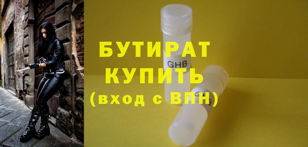 гидра Богородск