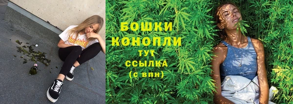 гидра Богородск