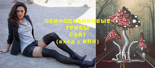 а пвп мука Богородицк