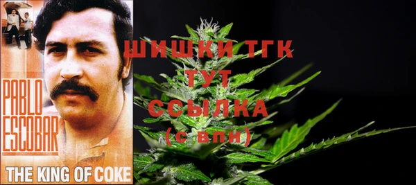 MESCALINE Тайга