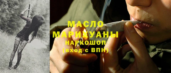 гидра Богородск